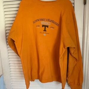 & Other Stories Orange Sweatshirt